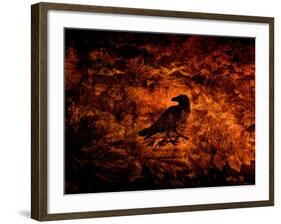 Raven in the Acanthus-Katherine Sanderson-Framed Photographic Print