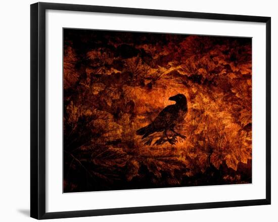 Raven in the Acanthus-Katherine Sanderson-Framed Photographic Print