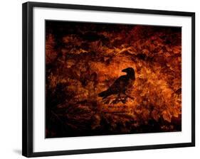 Raven in the Acanthus-Katherine Sanderson-Framed Photographic Print