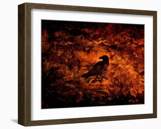 Raven in the Acanthus-Katherine Sanderson-Framed Photographic Print