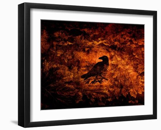 Raven in the Acanthus-Katherine Sanderson-Framed Photographic Print