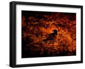 Raven in the Acanthus-Katherine Sanderson-Framed Photographic Print