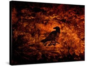 Raven in the Acanthus-Katherine Sanderson-Stretched Canvas