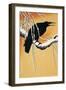 Raven Perching on a Branch (Corvus Corax)-null-Framed Giclee Print