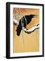Raven Perching on a Branch (Corvus Corax)-null-Framed Giclee Print