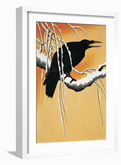 Raven Perching on a Branch (Corvus Corax)-null-Framed Giclee Print