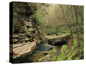 Raven Run Nature Sanctuary, Lexington, Kentucky, USA-Adam Jones-Stretched Canvas