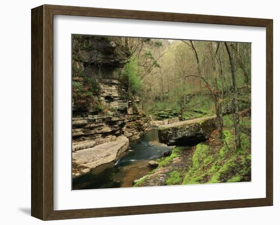 Raven Run Nature Sanctuary, Lexington, Kentucky, USA-Adam Jones-Framed Premium Photographic Print