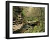 Raven Run Nature Sanctuary, Lexington, Kentucky, USA-Adam Jones-Framed Premium Photographic Print
