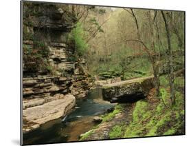 Raven Run Nature Sanctuary, Lexington, Kentucky, USA-Adam Jones-Mounted Premium Photographic Print