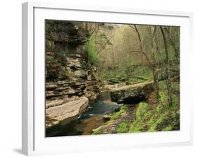 Raven Run Nature Sanctuary, Lexington, Kentucky, USA-Adam Jones-Framed Photographic Print