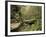 Raven Run Nature Sanctuary, Lexington, Kentucky, USA-Adam Jones-Framed Photographic Print