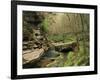 Raven Run Nature Sanctuary, Lexington, Kentucky, USA-Adam Jones-Framed Photographic Print