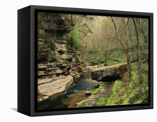 Raven Run Nature Sanctuary, Lexington, Kentucky, USA-Adam Jones-Framed Stretched Canvas