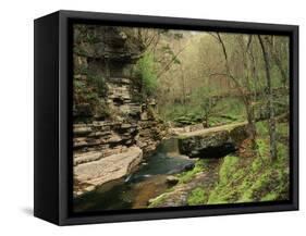 Raven Run Nature Sanctuary, Lexington, Kentucky, USA-Adam Jones-Framed Stretched Canvas