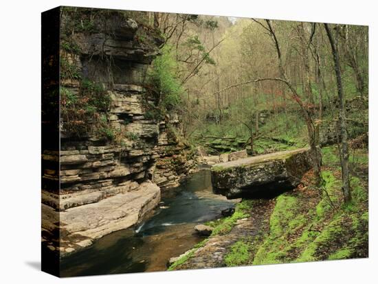 Raven Run Nature Sanctuary, Lexington, Kentucky, USA-Adam Jones-Stretched Canvas