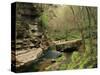 Raven Run Nature Sanctuary, Lexington, Kentucky, USA-Adam Jones-Stretched Canvas