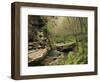 Raven Run Nature Sanctuary, Lexington, Kentucky, USA-Adam Jones-Framed Photographic Print