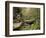 Raven Run Nature Sanctuary, Lexington, Kentucky, USA-Adam Jones-Framed Photographic Print