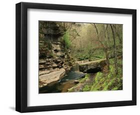 Raven Run Nature Sanctuary, Lexington, Kentucky, USA-Adam Jones-Framed Photographic Print