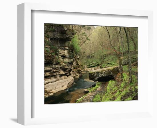 Raven Run Nature Sanctuary, Lexington, Kentucky, USA-Adam Jones-Framed Photographic Print