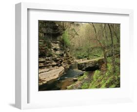 Raven Run Nature Sanctuary, Lexington, Kentucky, USA-Adam Jones-Framed Photographic Print