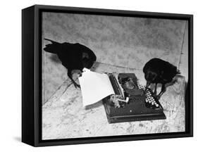 Raven Typing His Own Name of on the Typewriter-Peter Stackpole-Framed Stretched Canvas