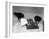 Raven Typing His Own Name of on the Typewriter-Peter Stackpole-Framed Photographic Print