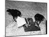 Raven Typing His Own Name of on the Typewriter-Peter Stackpole-Mounted Photographic Print