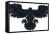 Raven-Reflux-Framed Stretched Canvas