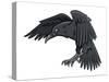 Raven-FunWayIllustration-Stretched Canvas