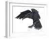 Raven-FunWayIllustration-Framed Art Print