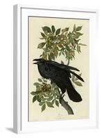 Raven-null-Framed Giclee Print