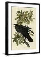 Raven-null-Framed Giclee Print