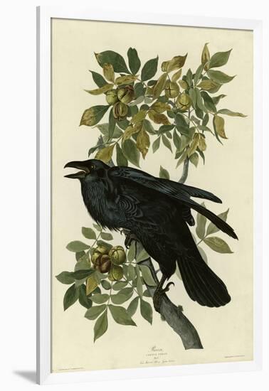 Raven-null-Framed Giclee Print