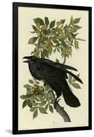 Raven-null-Framed Giclee Print