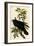 Raven-John James Audubon-Framed Art Print