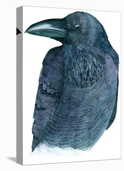 Raven-Jeannine Saylor-Stretched Canvas