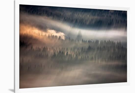 Raven-Marcin Sobas-Framed Photographic Print