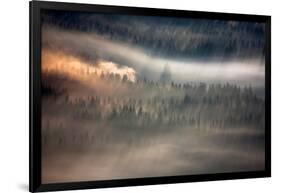 Raven-Marcin Sobas-Framed Photographic Print