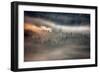 Raven-Marcin Sobas-Framed Photographic Print