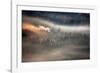 Raven-Marcin Sobas-Framed Photographic Print