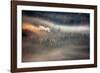 Raven-Marcin Sobas-Framed Photographic Print