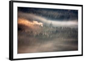 Raven-Marcin Sobas-Framed Photographic Print