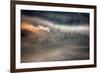 Raven-Marcin Sobas-Framed Photographic Print