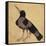 Raven-Aristotle ibn Bakhtishu-Framed Stretched Canvas