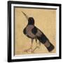 Raven-Aristotle ibn Bakhtishu-Framed Giclee Print