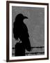 Raven-Joanne Paynter Design-Framed Giclee Print