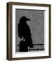 Raven-Joanne Paynter Design-Framed Premium Giclee Print