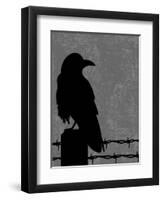 Raven-Joanne Paynter Design-Framed Premium Giclee Print